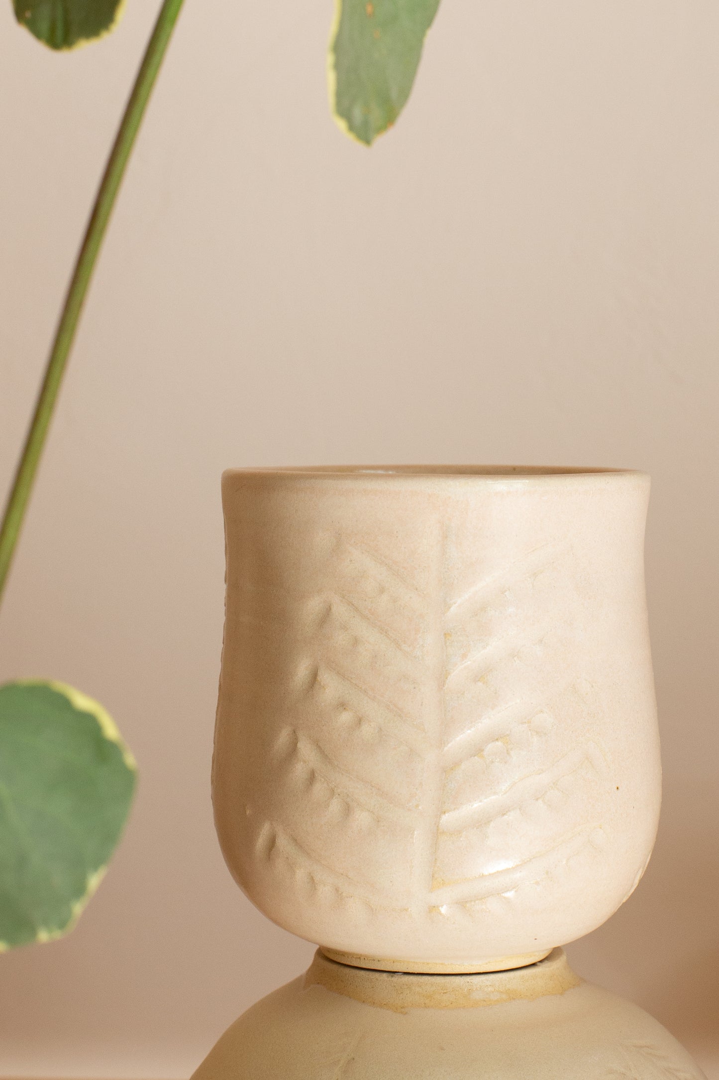 كاسة كرمل Karmel Cup