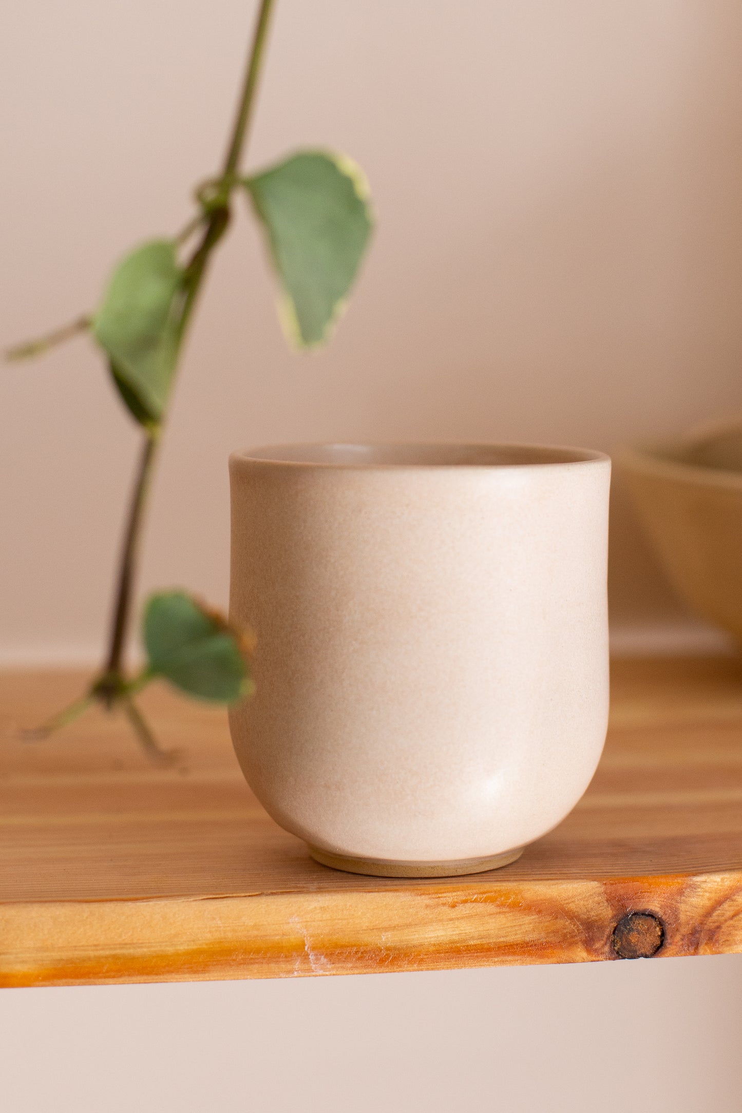 كاسة ثلجة Thalja Cup